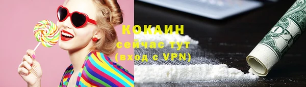 сатива Армянск