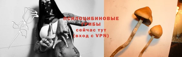 spice Арсеньев