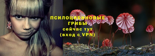сатива Армянск