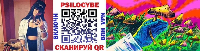 Псилоцибиновые грибы GOLDEN TEACHER даркнет сайт Усть-Илимск